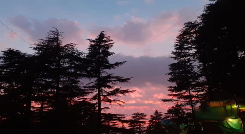 Mcleodganj Bed & Breakfast, McLeod Ganj, India