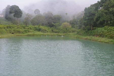 Magnolia Estates & Resorts, Virajpet, India