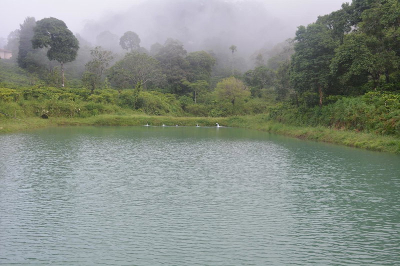 Magnolia Estates & Resorts, Virajpet, India