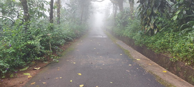 Magnolia Estates & Resorts, Virajpet, India