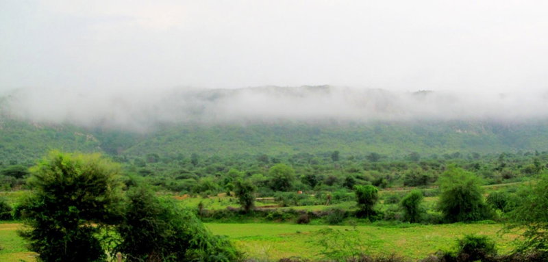 Ranthambhore Tiger Valley, Sawāi Mādhopur, India