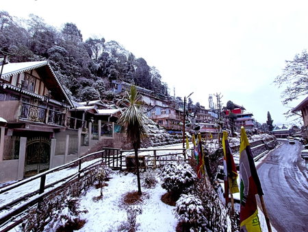 Marigold Manor Homestay, Darjeeling, India