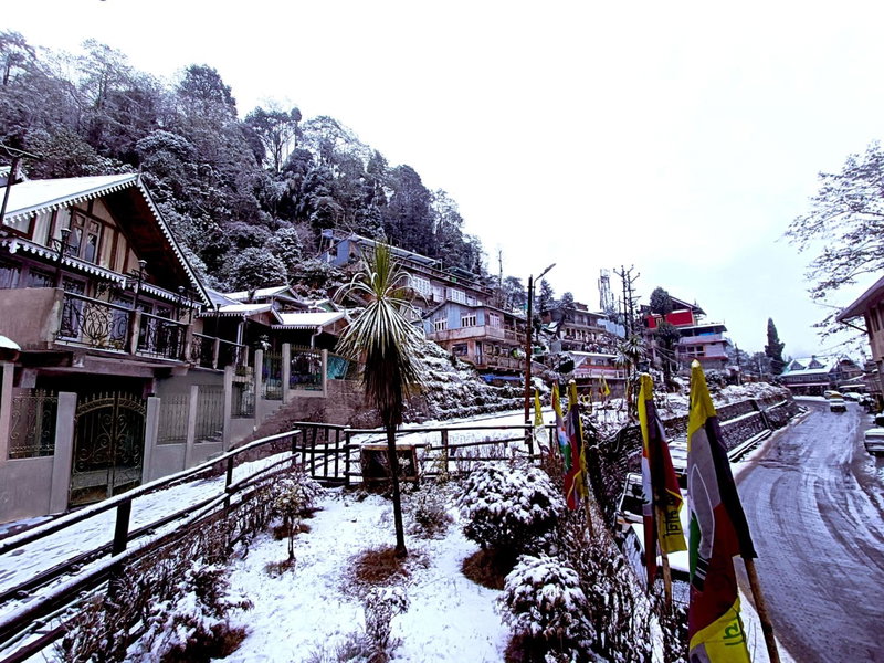 Marigold Manor Homestay, Darjeeling, India