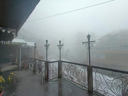Marigold Manor Homestay, Darjeeling, India