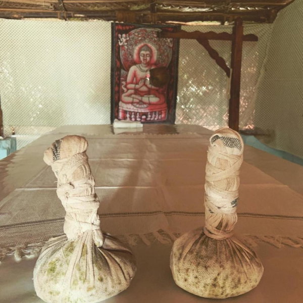 Green Garden Ayurvedic Resort & Green House, Varkala, India