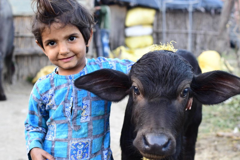 Nature Care Village Farmstay- Rajaji National Park, Rishīkesh, India