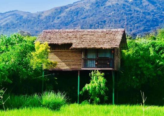 Koomankolly Resort, Thirunelli, India
