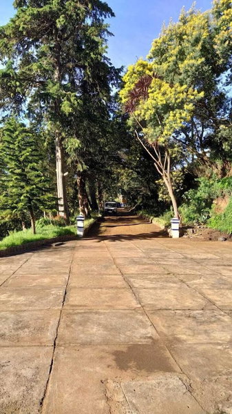 I - India, Coonoor, India