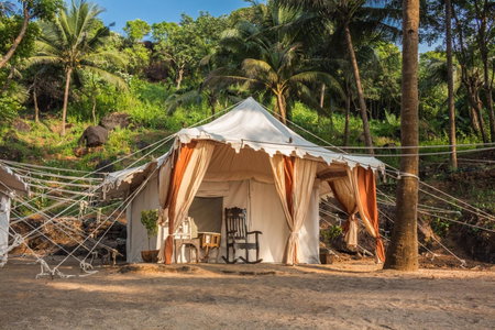 Soneca Cola, Cola, India