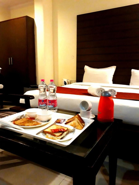 New Delhi Hotel Citizen, New Delhi, India