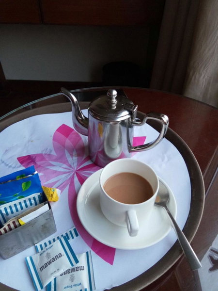 New Delhi Hotel Citizen, New Delhi, India