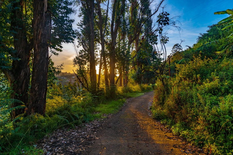 Warmth Hill Crest, Kodaikānāl, India