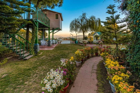 Villa Mountain Crest Kasauli with Treehouse , Sundeck & Breakfast, Dagshai, India