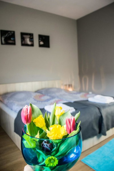 Pokoje Staromiejski, Uniejow, Poland