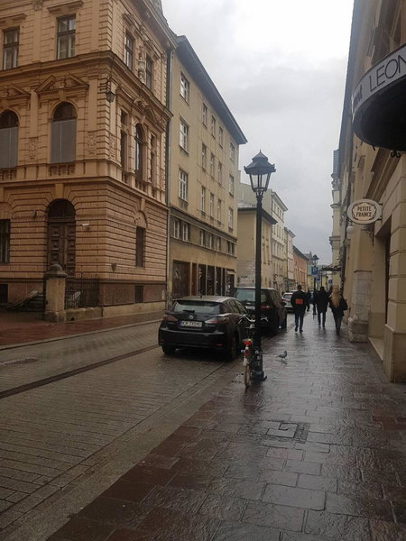 GoldStar Luxury Old Town Krakow Apartment, Kraków, Poland