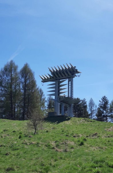 Bodziuchówka, Mizerna, Poland