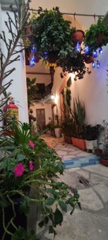 El Jardín de la Abuela, Querétaro, Mexico