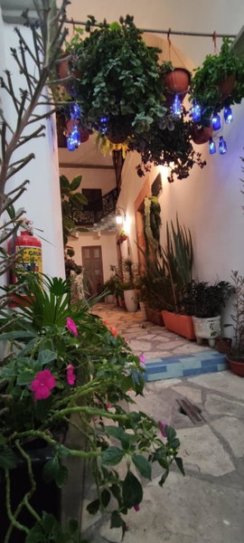 El Jardín de la Abuela, Querétaro, Mexico