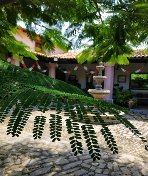 La Casona De La Esmeralda, Mascota, Mexico