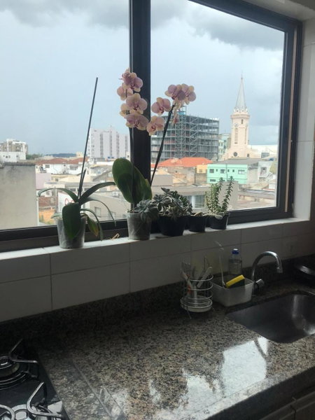 Apartamento Centro Lavras, Lavras, Brazil