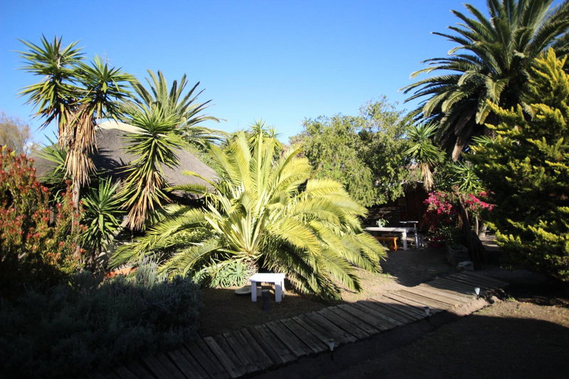 Saltycrax Backpackers and Surf Hostel, Bloubergstrand, South Africa