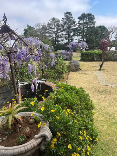 Apple and Rose, Belfast, South Africa