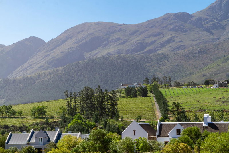 Villa de luxe, Franschhoek, South Africa