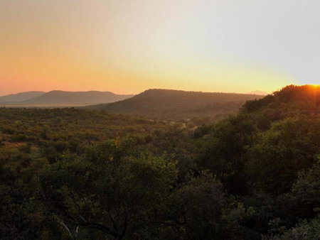 Buffalo Ridge Safari Lodge, Madikwe Game Reserve, South Africa