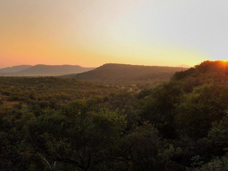 Buffalo Ridge Safari Lodge, Madikwe Game Reserve, South Africa