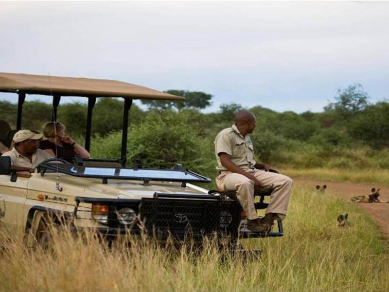Buffalo Ridge Safari Lodge, Madikwe Game Reserve, South Africa