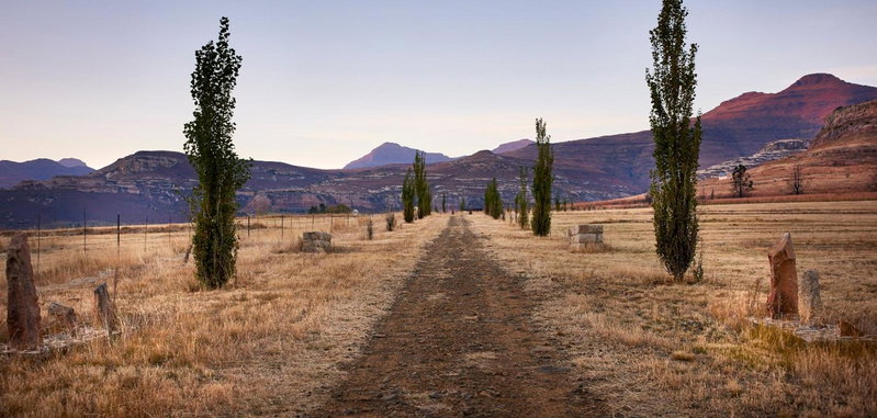 Dynasty Red Mountain Ranch, Clarens, South Africa