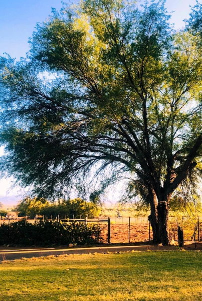 Blye Uitsig, Oudtshoorn, South Africa