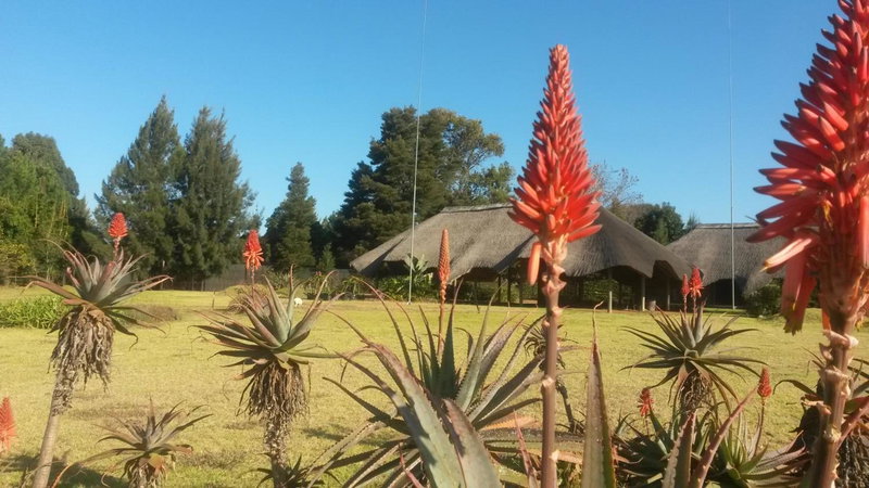 African Flair Country Lodge, Piet Retief, South Africa
