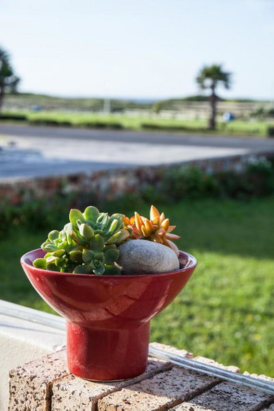 Palm Beach Guesthouse, Port Elizabeth, South Africa