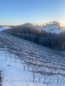 Trautenburg Stub`n, Leutschach, Austria