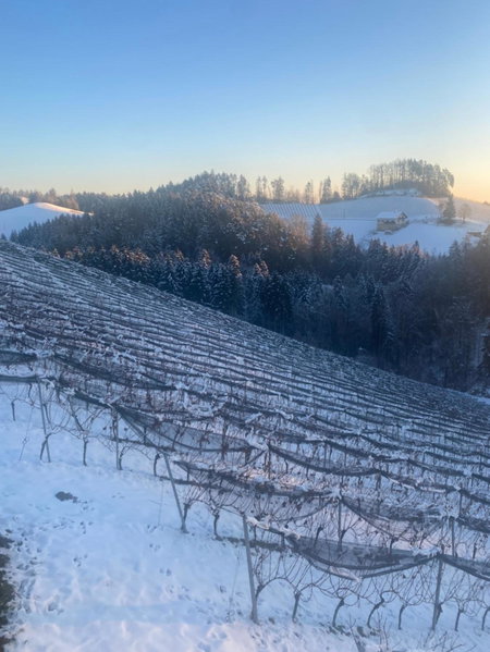 Trautenburg Stub`n, Leutschach, Austria