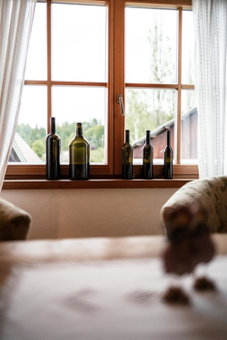 Winzerzimmer Pronegg vlg. Kristeindl, Leutschach, Austria