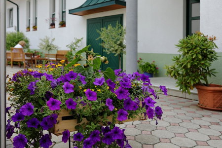 Weingut Apartment Hildegard Gangl, Illmitz, Austria