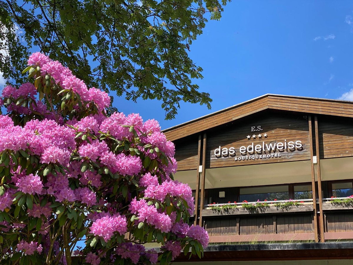 Hotel · BOUTIQUEHOTEL das edelweiss, Schoppernau