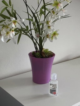 Ferienappartement GROCKE, Kaprun, Austria