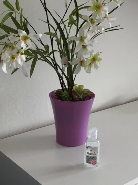 Ferienappartement GROCKE, Kaprun, Austria