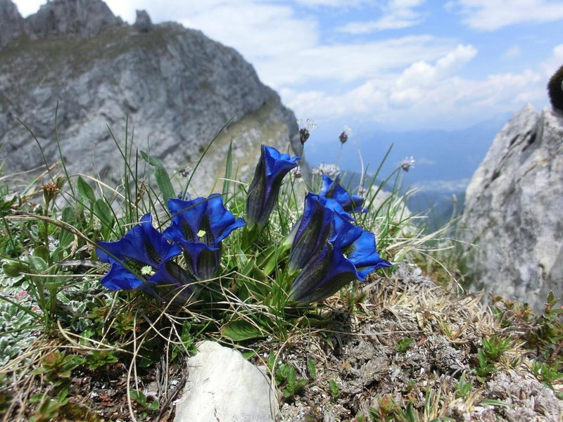 Troadkasten, Kötschach, Austria