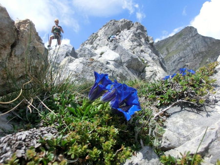 Troadkasten, Kötschach, Austria