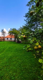 Pensiunea Narcisa cu Ciubar, Mălăeşti, Romania