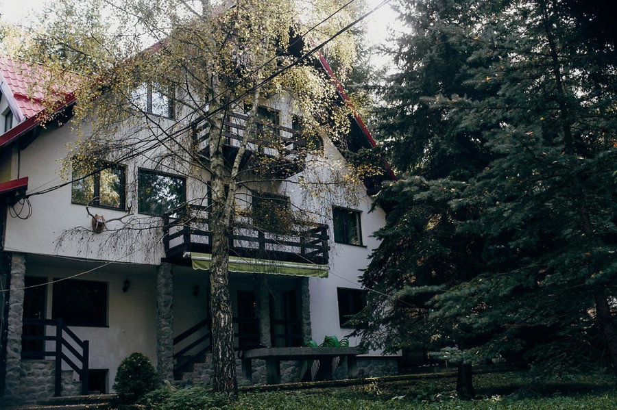 Casa Mario, Dragoslavele, Romania