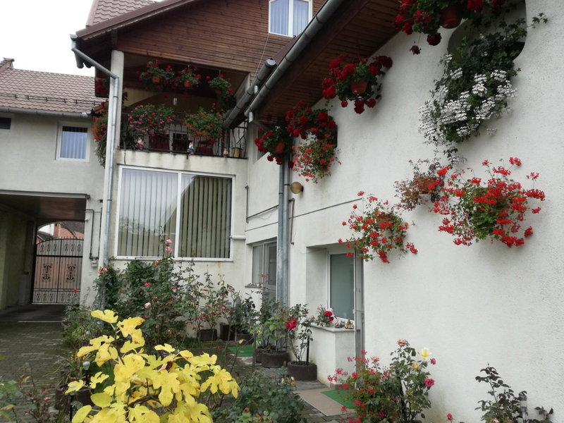 Vila Nely, Râşnov, Romania