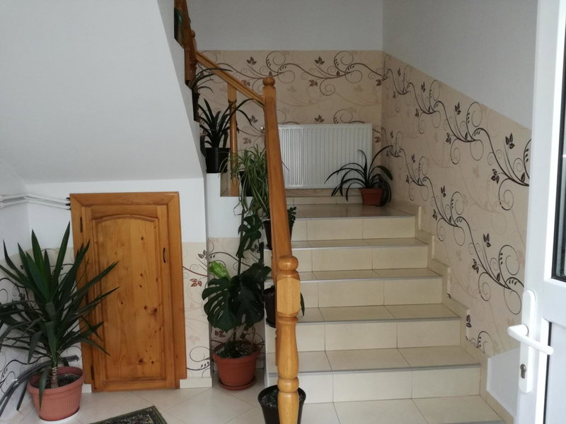 Vila Nely, Râşnov, Romania