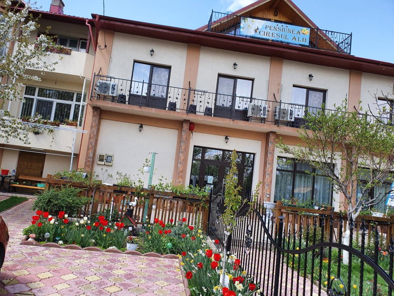 Pensiunea Cireșul Alb, Tulcea, Romania