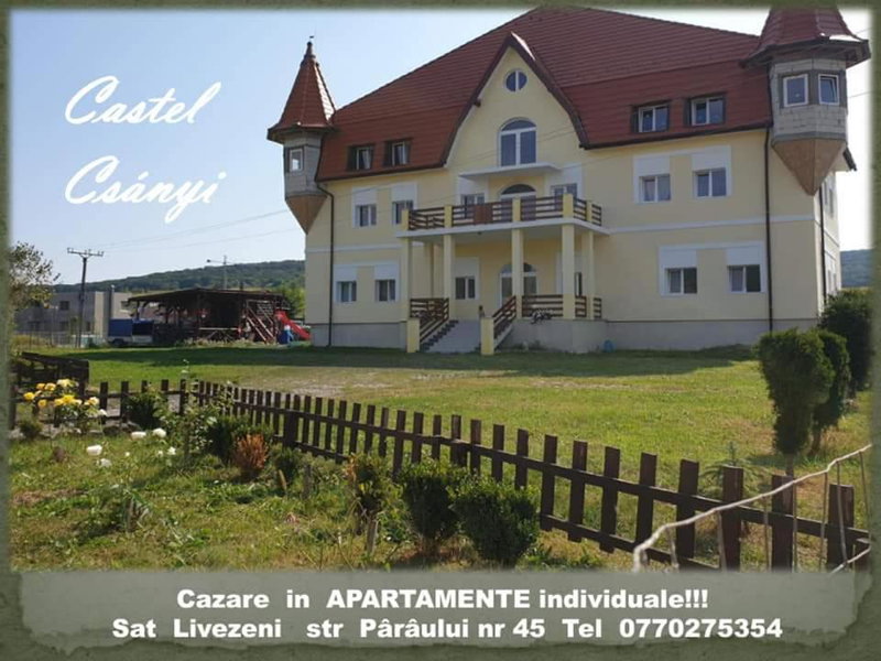 Castle Csányi, Livezeni, Romania