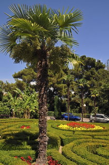 Apartment Gianfranko, Opatija, Croatia